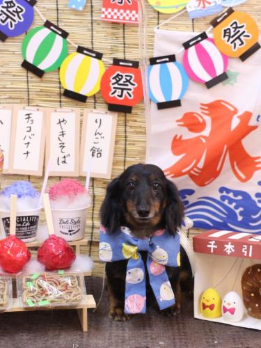 20240710ハルちゃん